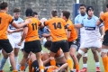 Bagarre rugby (3)