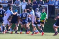 Bagarre rugby bayonne agen (5)