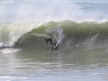 anglet surf photo pablo ordas (3).jpg