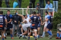 rugby (2).jpg