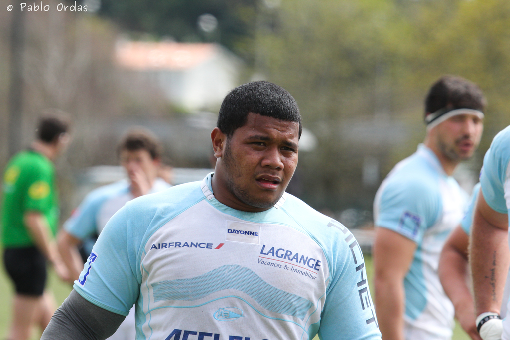 Tomaa Taufa