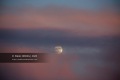 Lune-1
