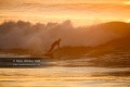 Surf-Anglet-12