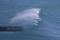 Vague-Anglet-10