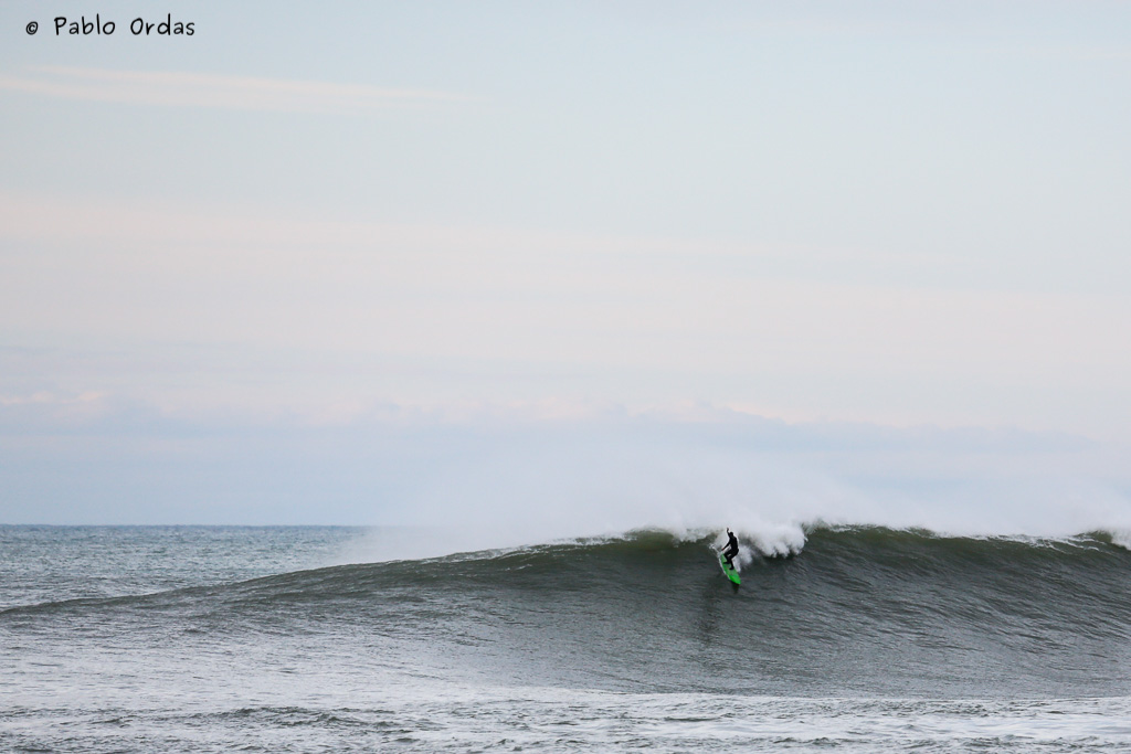 Surf-Parlementia-6