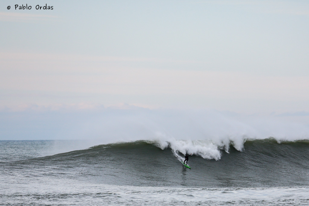 Surf-Parlementia-7