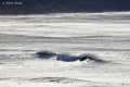Avalanche-17