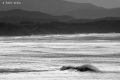Avalanche-19