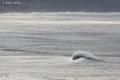 Avalanche-5