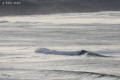 Avalanche-8