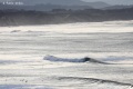 Avalanche-9
