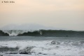 Surf-Avalanche-3