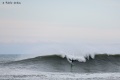 Surf-Parlementia-7