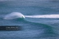 Vague-Anglet-31
