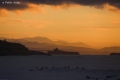 ambiance montagne pays basque photo pablo ordas (4)