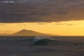 vague anglet photo pablo ordas (13)