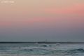 vague anglet photo pablo ordas (26)