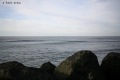 Plage-des-sables-d-or-Anglet-1