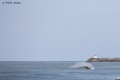 Plage-des-sables-d-or-Anglet-12