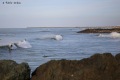 Plage-des-sables-d-or-Anglet-13