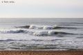 Surf-20