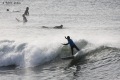 Surf-28