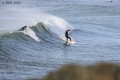 Surf-29