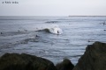 Surf-35