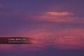 Sunrise-Anglet-30