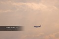 Avion