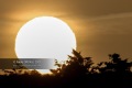 Sunrise-Anglet