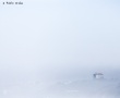 Chateau-Ilbarritz-1