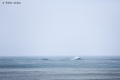 Outside-Biarritz