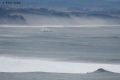Surf-Avalanche-Guethary-8
