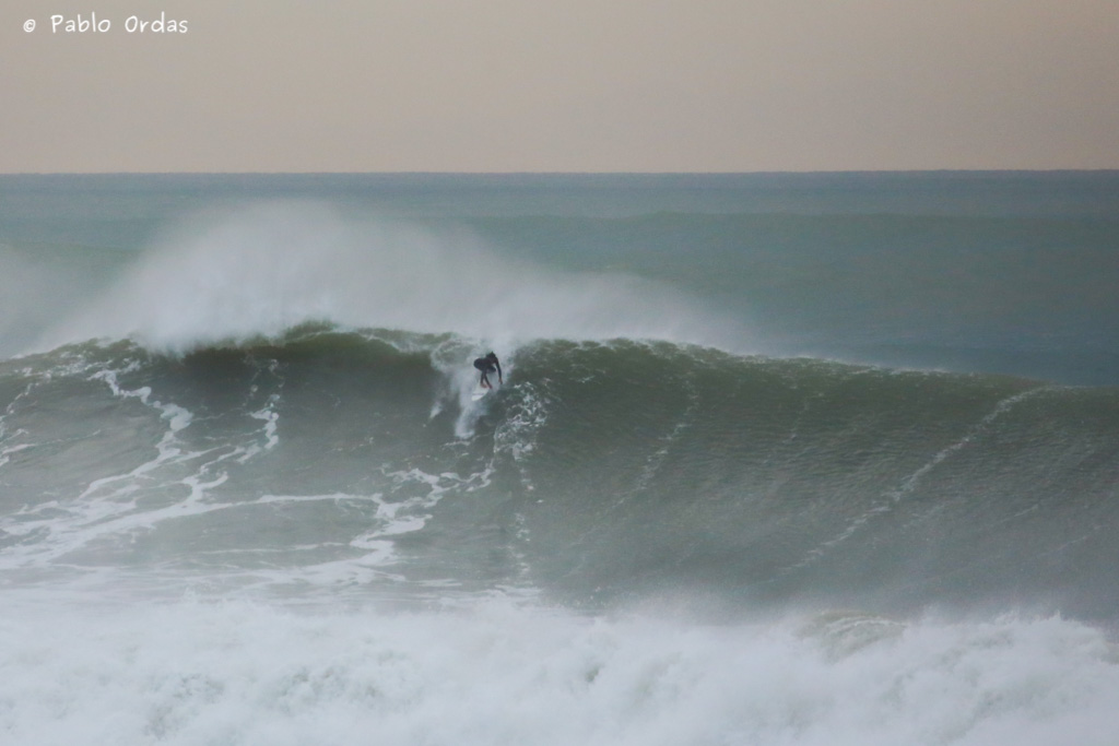 Adrien Toyon (21)