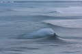 Anglet Photo Pablo Ordas (2)