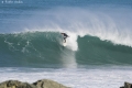 Surf (1).jpg