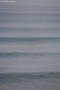 Anglet surf photo pablo ordas (17).jpg