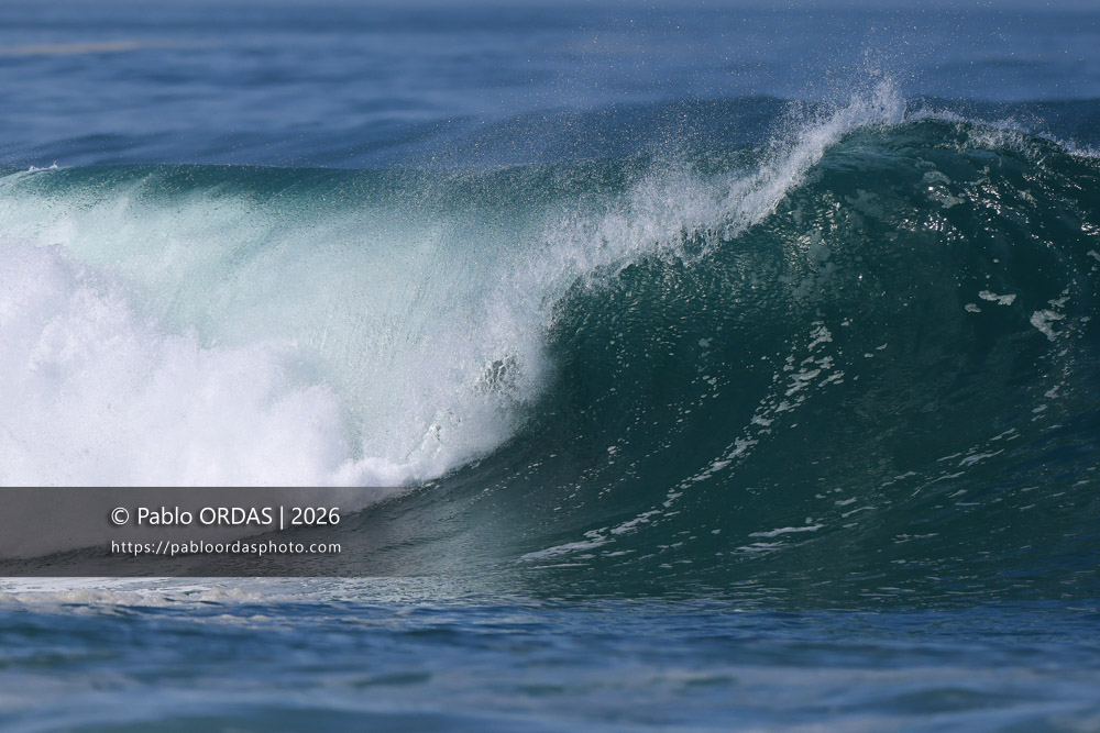 Edouard Delpero, pendant la session du 13 mars 2026 à Anglet, France (Photo Pablo ORDAS)