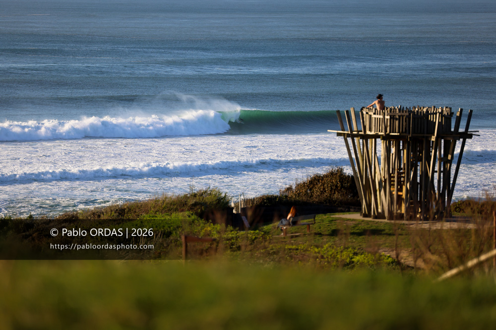 Maxime Haitze, pendant la session du 17 mars 2026 à Anglet, France (Photo Pablo ORDAS)