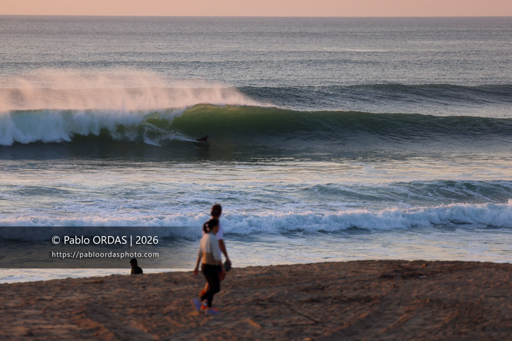 Yon Aimar, pendant la session du 19 mars 2026 à Anglet, France (Photo Pablo ORDAS)