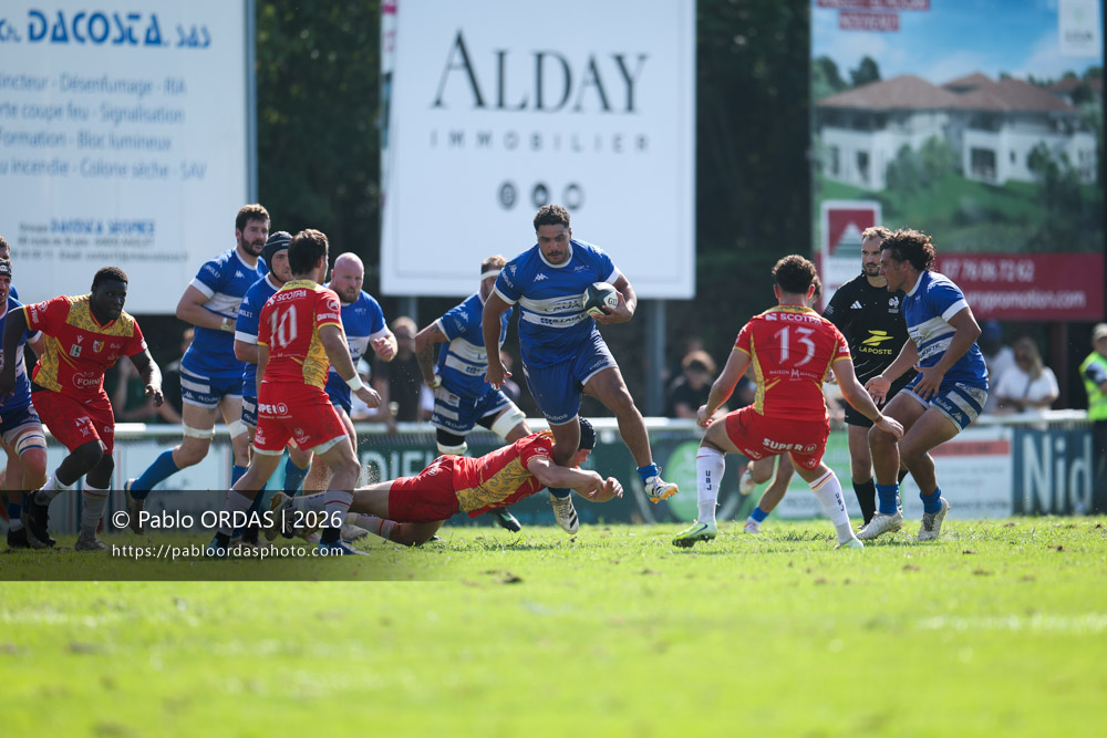 Nicolas Alacchi, lors du match de Fédéraile 1 entre l'Anglet olympique et l'Union Barbezieux Jonzac, le 6 septembre 2026 au stade Saint-Jean d'Anglet, France (Photo Pablo ORDAS)