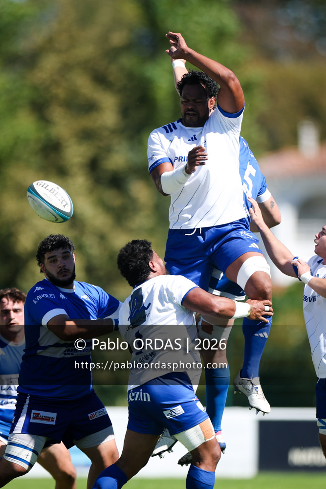 Lisiate Fa'aoso, lors du match de Fédéraile 1 entre l'Anglet olympique et Layrac, le 13 septembre 2026 au stade Saint-Jean d'Anglet, France (Photo Pablo ORDAS)