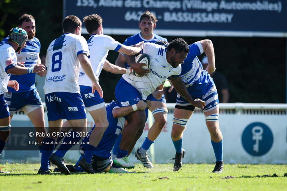 Hemani Paea, lors du match de Fédéraile 1 entre l'Anglet olympique et Layrac, le 13 septembre 2026 au stade Saint-Jean d'Anglet, France (Photo Pablo ORDAS)